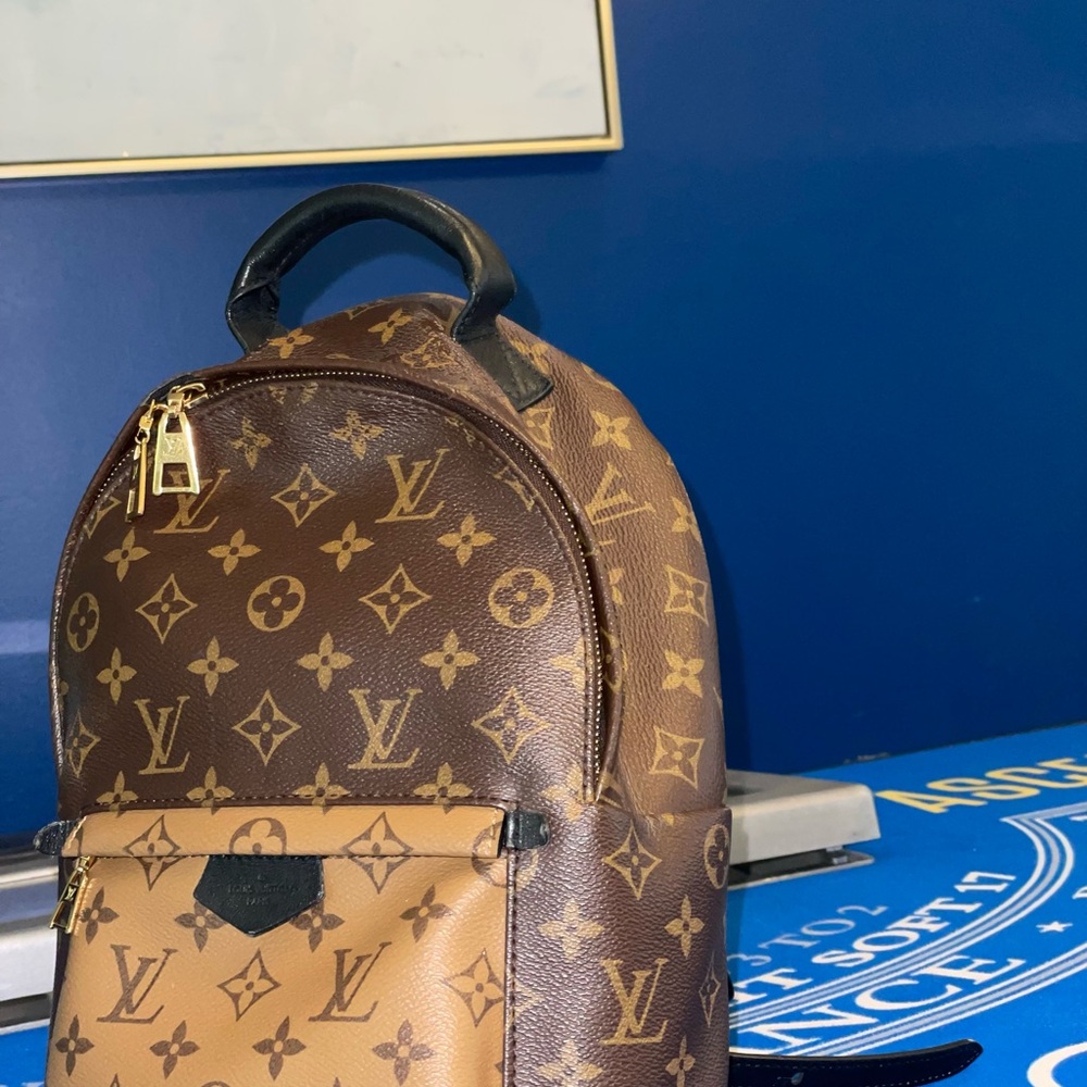Louis Vuitton Palm Springs PM Backpack